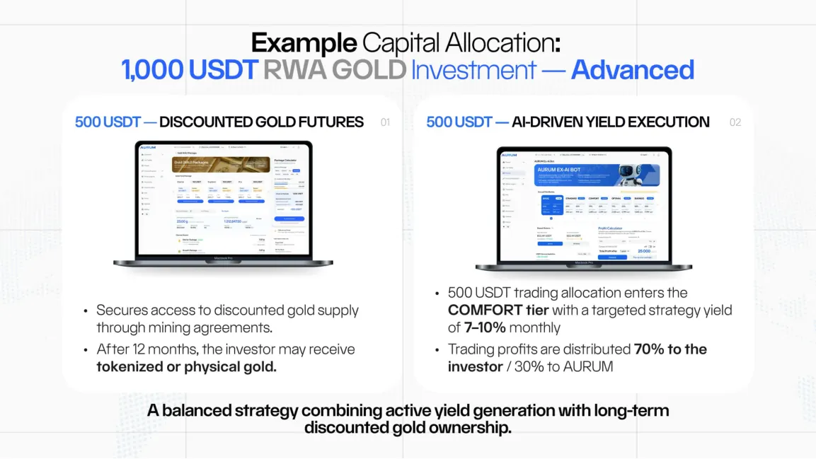 RWA Gold allocation example